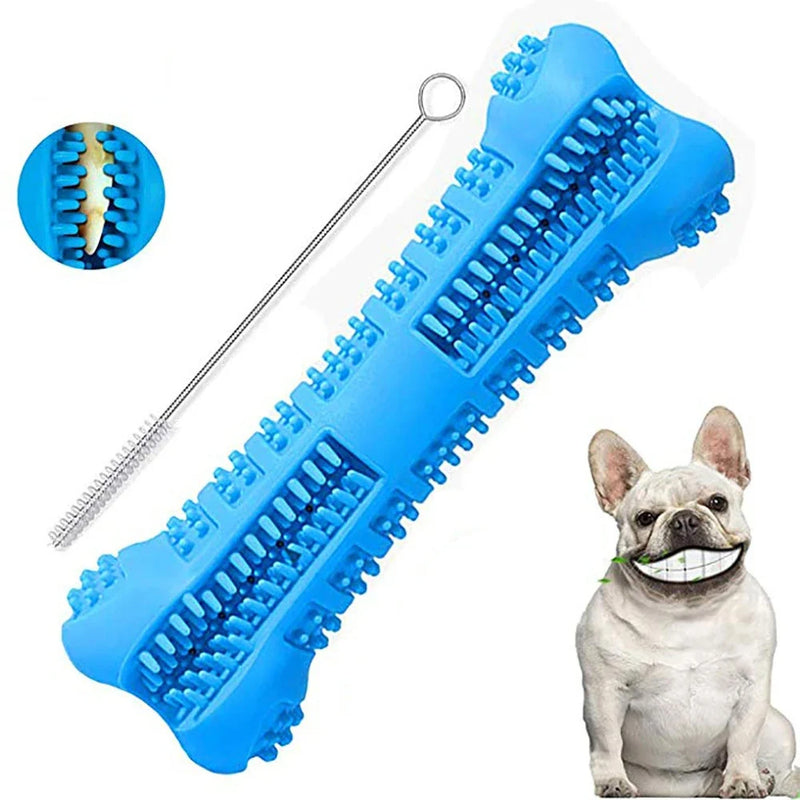 Blue dog chew toy with a cleaning tool and a dog posing with a toy in its mouth.
