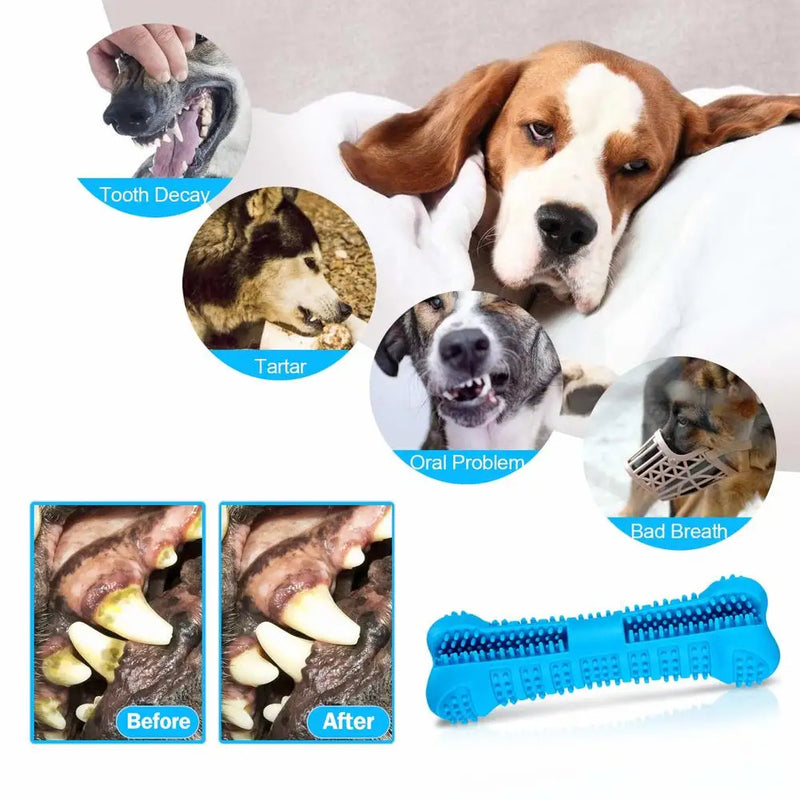 Dog with dental issues shown before and after using a blue dog toothbrush, with a close-up of the toothbrush.