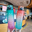 Two colorful water bottles with time markers held in a casual setting.