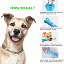 Dog with a blue dental chew toy and instructions on how to use it.